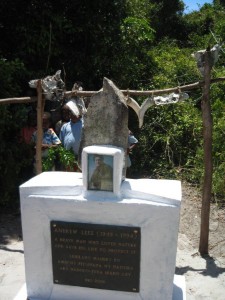Andrew's stone in Petriky Forest